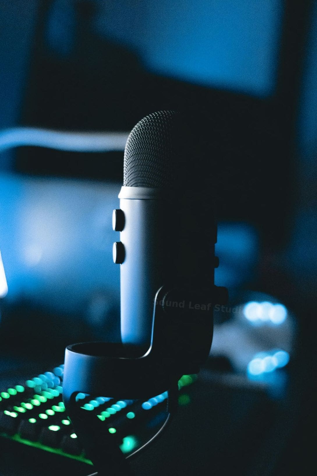 Sound Leaf Studio 10