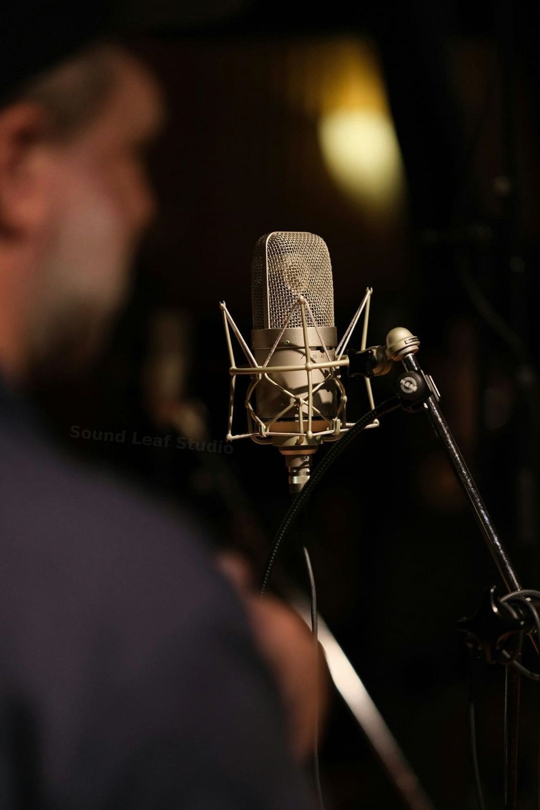 Sound Leaf Studio 4