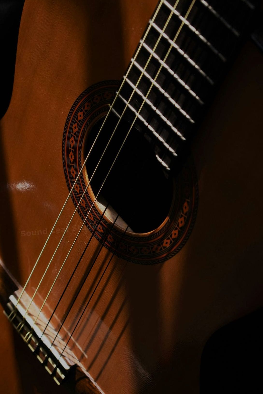 Sound Leaf Studio 5